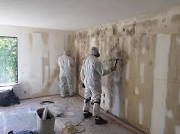 Mold Odor Removal Services in Bellaire, OH